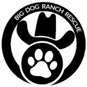 Profile Picture of Big Dog Ranch Rescue (@BigDogRanchRescue) on Youtube