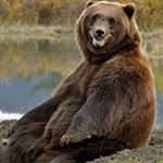 Profile Picture of Bruce Tung (@tung.bruce) on Instagram