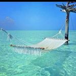 Profile Picture of diane tharp (@dianetharp70) on Instagram