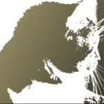 Profile Picture of Miriam Hamerlinck (@mwhamerlinck) on Instagram