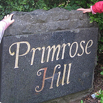 Profile Picture of bernard martin (@menanar) on Flickr