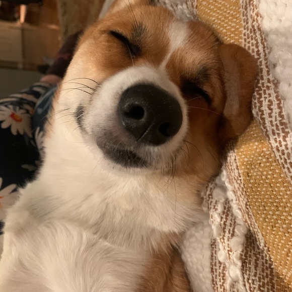 Cassandra Hickey - Poshmark Profile Picture of Cassandra Hickey (@casshick) on Poshmark