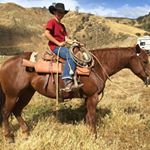 Profile Picture of Stacey Bacon Schmidt (@staceybaconschmidt) on Instagram