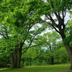 Rachida Kik - Facebook Profile Picture of Rachida Kik (@rachida.kik.71) on Facebook