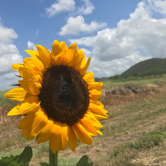 Profile Picture of Mackenzid Drury (@md201020) on Poshmark