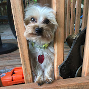 Zane Martin - Youtube Profile Picture of Zane Martin (@zanemartin5991) on Youtube