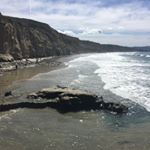 Profile Picture of Edward Holcomb (@echolcomb2) on Instagram