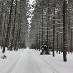 Profile Picture of Brian Uphoff (@uphoffbrian) on Instagram