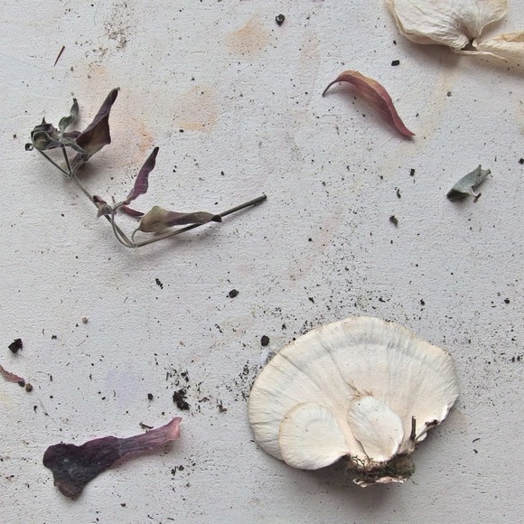 Profile Picture of Anna Waskowski (@annapatriciaw) on Poshmark