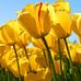 Profile Picture of Adnan Adam (@adnan.adam.3958) on Facebook