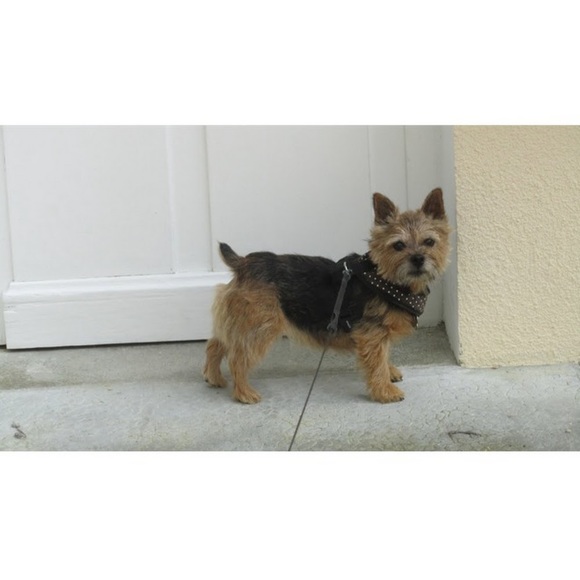 Profile Picture of Terry Lukas littman (@terylittman) on Poshmark