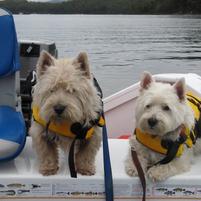 Profile Picture of Stuart Connolly (@@ConnollyStuart) on Twitter