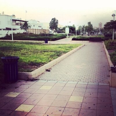 Profile Picture of Boo (@1TomRubin) on Twitter