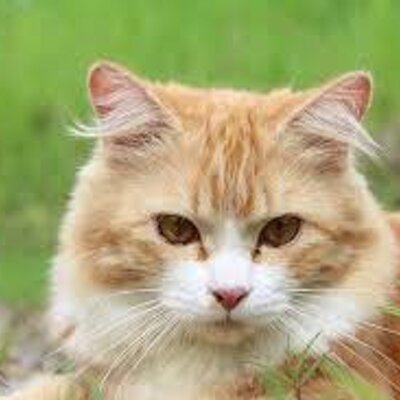 Profile Picture of Taryn Gibbs (@Terina52193) on Twitter