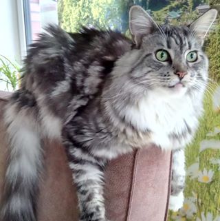 Profile Picture of Wanda Glattkowski (@wanda.glatkowski) on Facebook