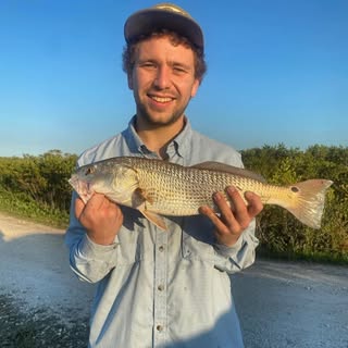 Profile Picture of Mark Reed (@markreed) on Instagram