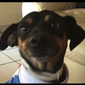 Kevin Monreal - Youtube Profile Picture of Kevin Monreal (@kevinmonreal1751) on Youtube