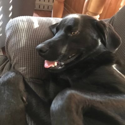 Profile Picture of Alexa Kerr (@AlexaKerr9) on Twitter