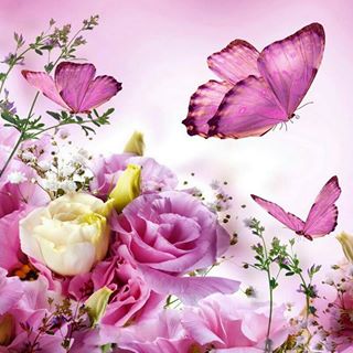 Profile Picture of Ginger Limbaugh (@Ginger-Limbaugh) on Facebook