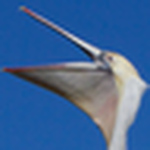 Profile Picture of Jerel Smith (@jerel_smith) on Flickr