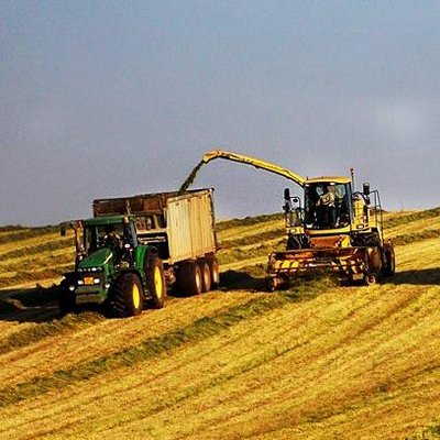 Profile Picture of Daniel Mašek (@Majda0408) on Twitter