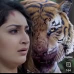 Profile Picture of Rani Ansari (@Rani-Ansari) on Facebook