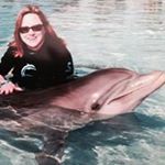 Profile Picture of Colleen Weber (@collweb) on Instagram