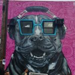 Jonathan Stutzman - Instagram Profile Picture of Jonathan Stutzman (@chefstutzman) on Instagram