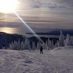 Profile Picture of David Castel Vilalta (@david_vitalfit) on Instagram