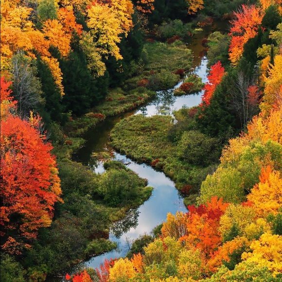 Profile Picture of Connor Redcay (@connorr321) on Poshmark