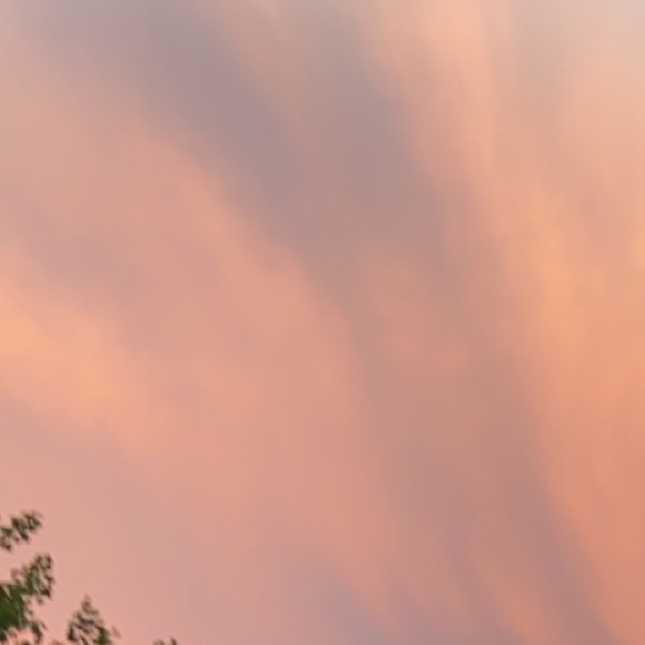 Profile Picture of Ava Bakaleinik (@avabakaleinik) on Poshmark