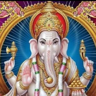 Profile Picture of Radha Krishna Srivastava (@RadhaKr99621727) on Twitter