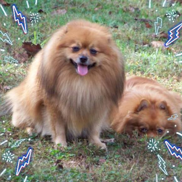 Profile Picture of Jeremy Rivas (@spazdragonr3al) on Poshmark