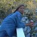 Profile Picture of Leanne Calaci (@slaybaby) on Pinterest