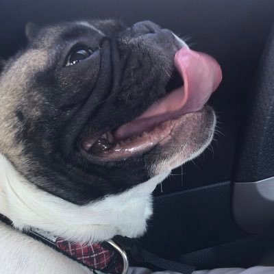 Profile Picture of Aaron Foxx (@AaronFoxx2) on Twitter