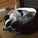 Profile Picture of Mark Heaney (@markheaney7) on Pinterest