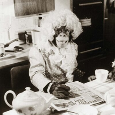 Andrew Jackson - Twitter Profile Picture of Andrew Jackson (@MeetMrJackson) on Twitter