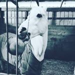 Profile Picture of Sandy Myers (@ladybug197463) on Instagram