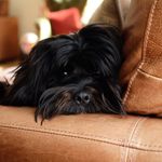 Profile Picture of Janet Heaton (@heatonj04) on Instagram
