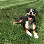 Brendan Born - Instagram Profile Picture of Brendan Born (@bborn314) on Instagram