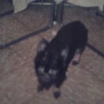 Profile Picture of Nora Isabel Paz (@Norita1965Paz) on Twitter