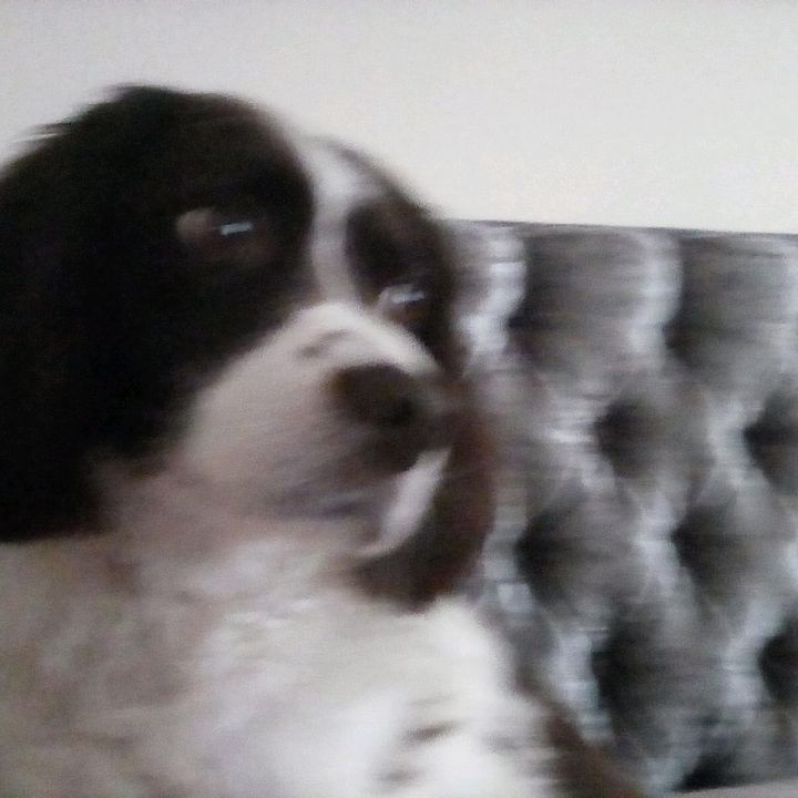 Profile Picture of RobloxxoxO (@paulrule7) on Tiktok