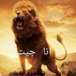 Profile Picture of Ibrahim Fouad (@ibrahimfouad67) on Twitter