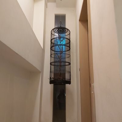 Profile Picture of Leung Chi Lan (@LeungChiLan1) on Twitter