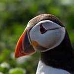 Profile Picture of Chris Beesley (@chris.beesley.99) on Instagram