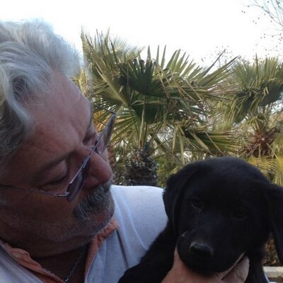 Profile Picture of Mark Cayer (@mbcayer) on Twitter