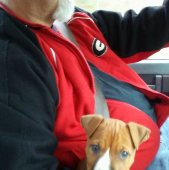 Profile Picture of James Rushing (@cueball30542) on Poshmark