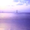 Profile Picture of DavidMcNatt9002 (@davidmcnatt9002) on Tiktok