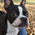 Profile Picture of Amber Kullman (@amber.kullman.9) on Facebook