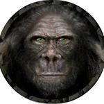 Profile Picture of Paul Willison (@paulwillison1966) on Instagram